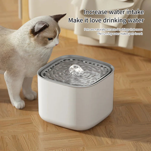Cat Water Fountain | 3L Auto Filter Silent USB Electric Dispenser