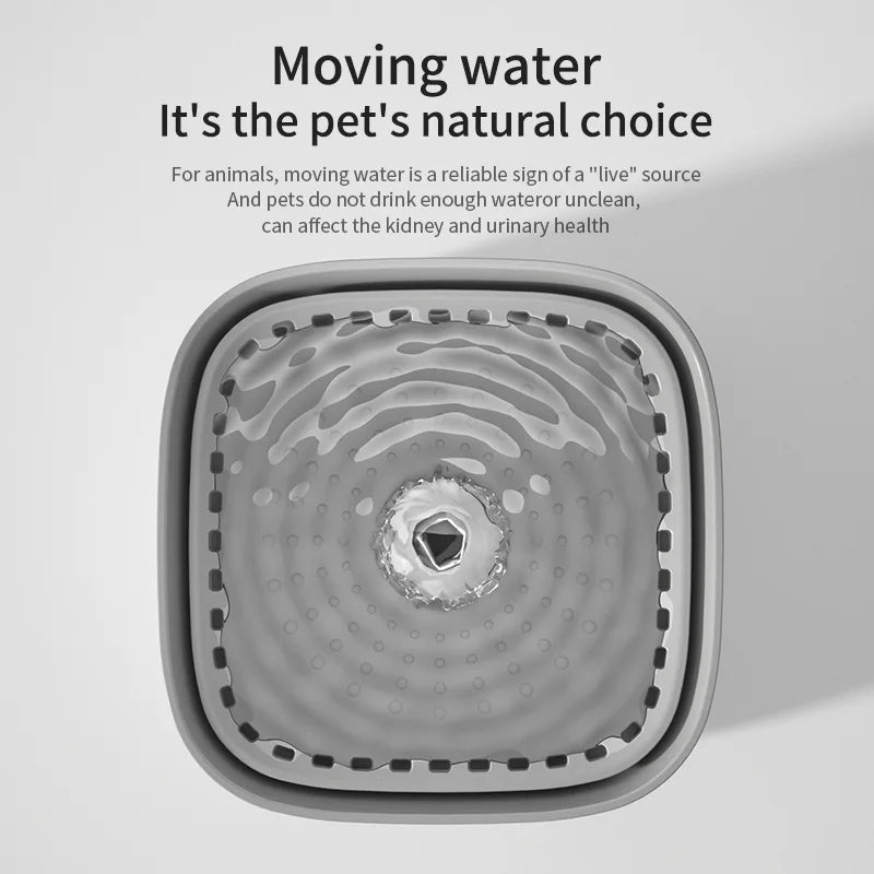 Cat Water Fountain | 3L Auto Filter Silent USB Electric Dispenser